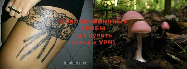 прущие грибы Алексин