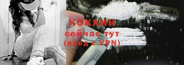 прущие грибы Алексин