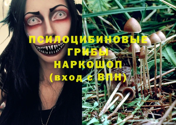 прущие грибы Алексин