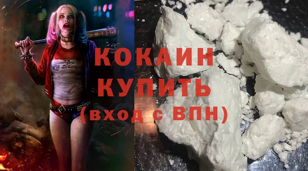 стаф Алзамай