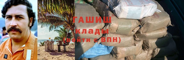 стаф Алзамай