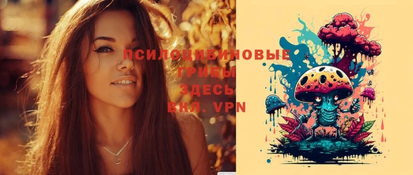 дживик Верхний Тагил