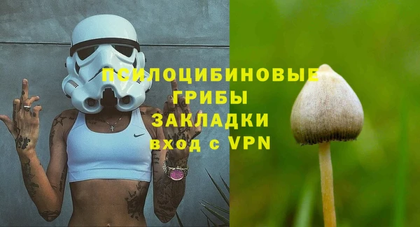 стаф Алзамай
